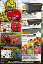 Hornbach Hornbach: Alles neu macht der Mai. Und Du! - bis 04.06.2025