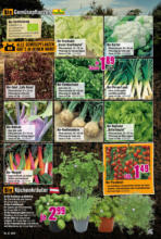 Hornbach Hornbach: Alles neu macht der Mai. Und Du! - bis 04.06.2025