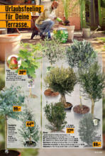 Hornbach Hornbach: Alles neu macht der Mai. Und Du! - bis 04.06.2025