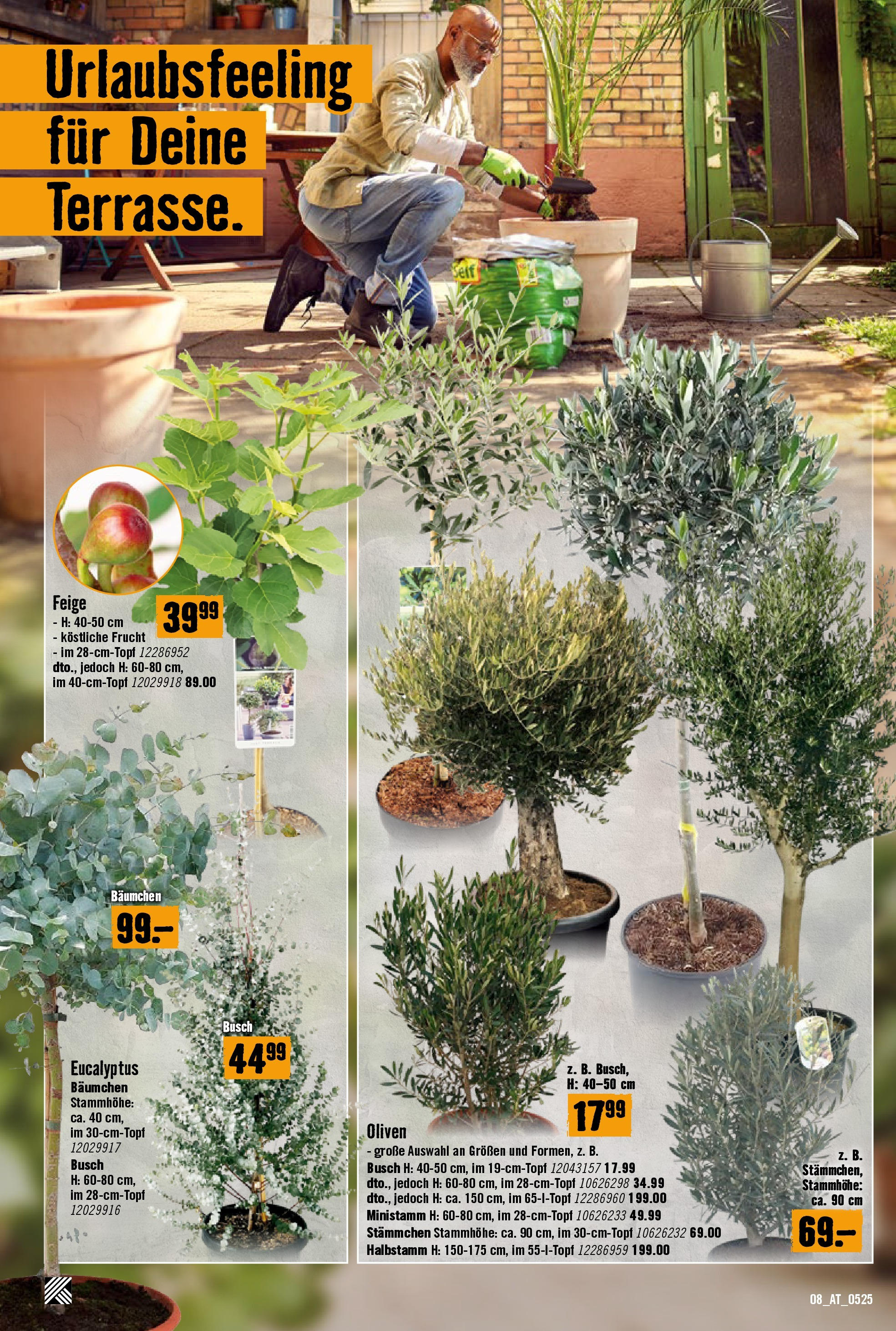 Hornbach Flugblatt (07.05.2025) || Aktuelle Angebote | Seite: 8 | Produkte: Szeder Hornbach Flugblatt von 07.05.2025 - Aktuelle Angebote | Seite: 8 | Produkte: Szeder