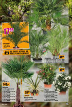 Hornbach Hornbach: Alles neu macht der Mai. Und Du! - bis 04.06.2025