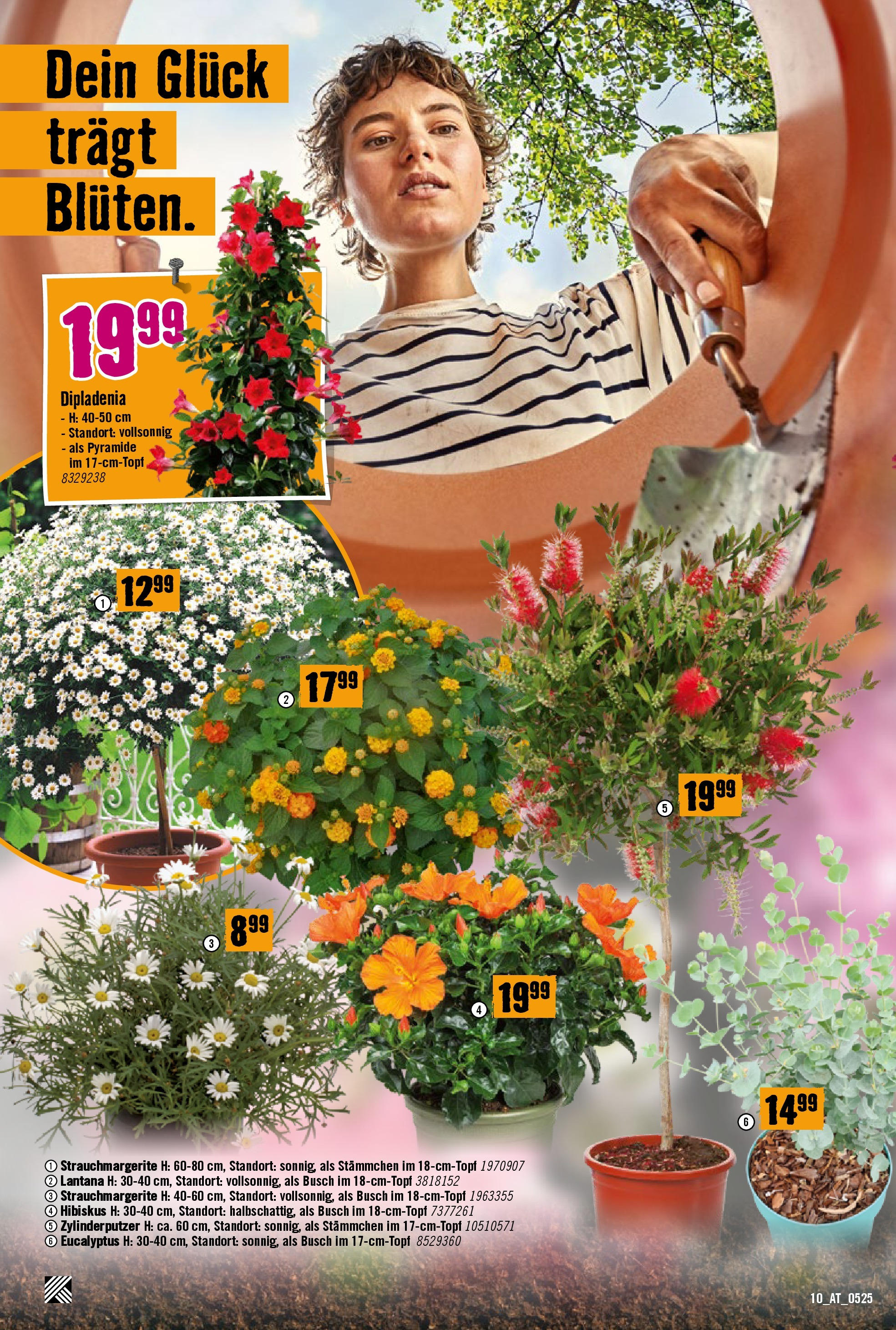 Hornbach Flugblatt (07.05.2025) || Aktuelle Angebote | Seite: 10 Hornbach Flugblatt von 07.05.2025 - Aktuelle Angebote | Seite: 10