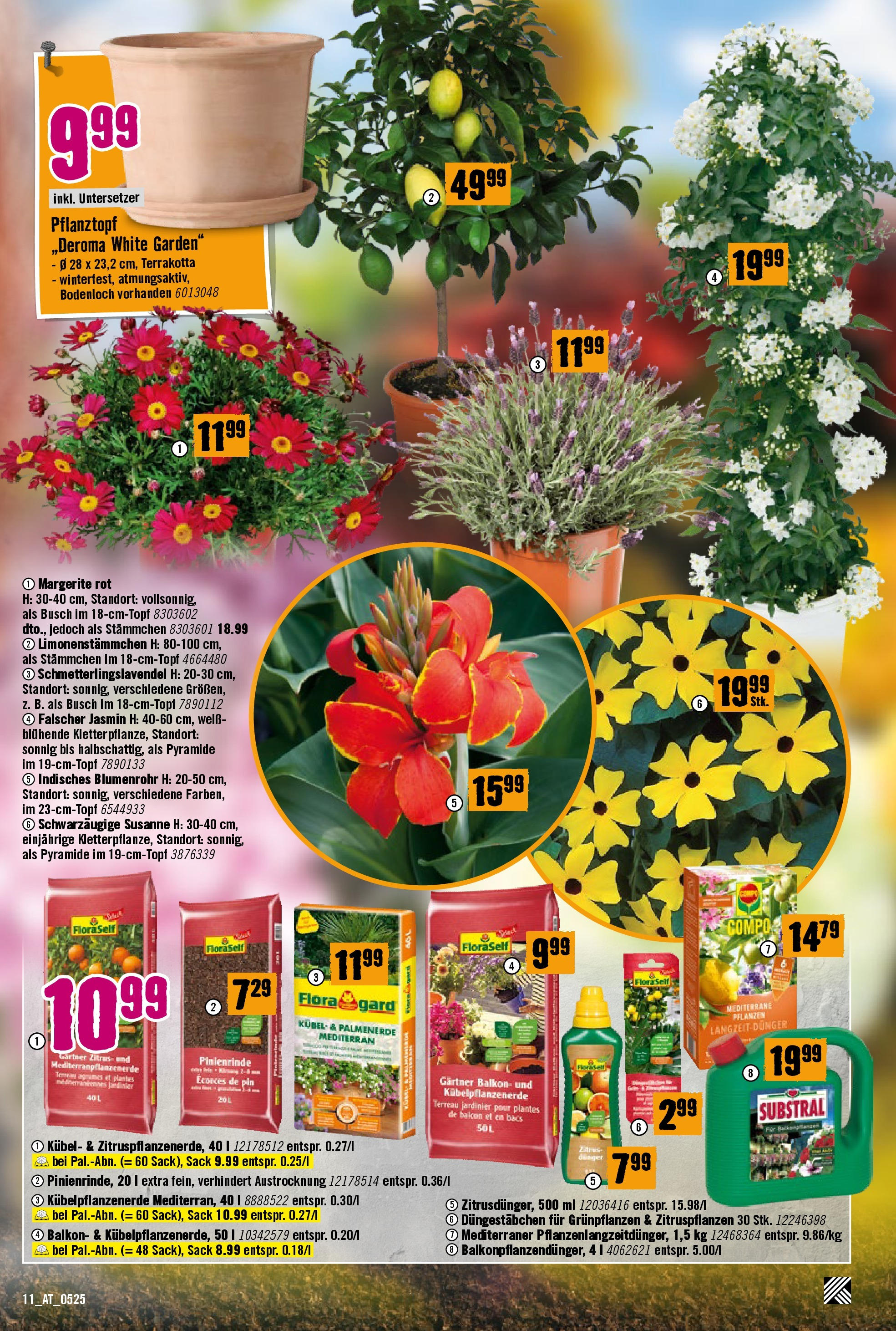 Hornbach Flugblatt (07.05.2025) || Aktuelle Angebote | Seite: 11 Hornbach Flugblatt von 07.05.2025 - Aktuelle Angebote | Seite: 11