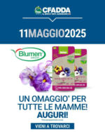 CFadda Un omaggio per tutte le mamme! Auguri! - al 11.05.2025