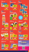 HOFER HOFER: Flugblatt - ab 09.05.2025