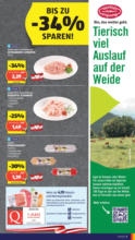 HOFER HOFER: Flugblatt - ab 09.05.2025