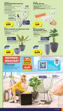 HOFER HOFER: Flugblatt - ab 09.05.2025