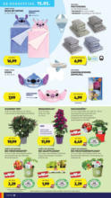 HOFER HOFER: Flugblatt - ab 09.05.2025