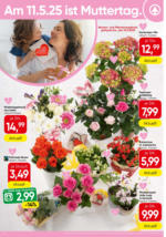 SPAR Supermarkt SPAR: Angebote - bis 21.05.2025