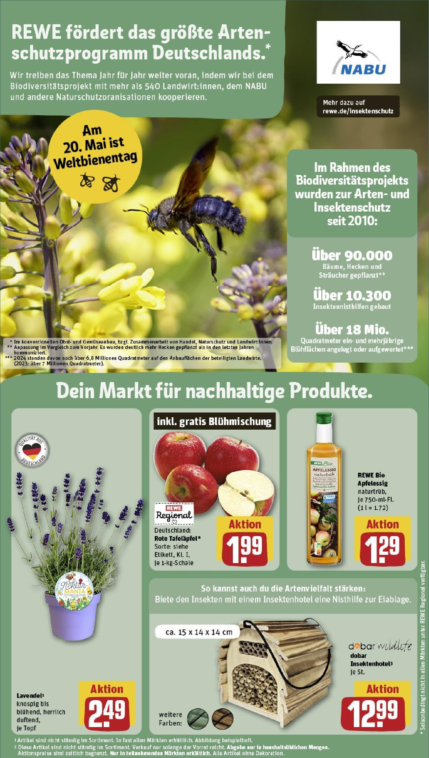 Rewe - Tübingen / Innenstadt (ab 12.05.2025) zum Blättern » Angebote | Seite: 17 | Produkte: Apple, Obst, Lavendel