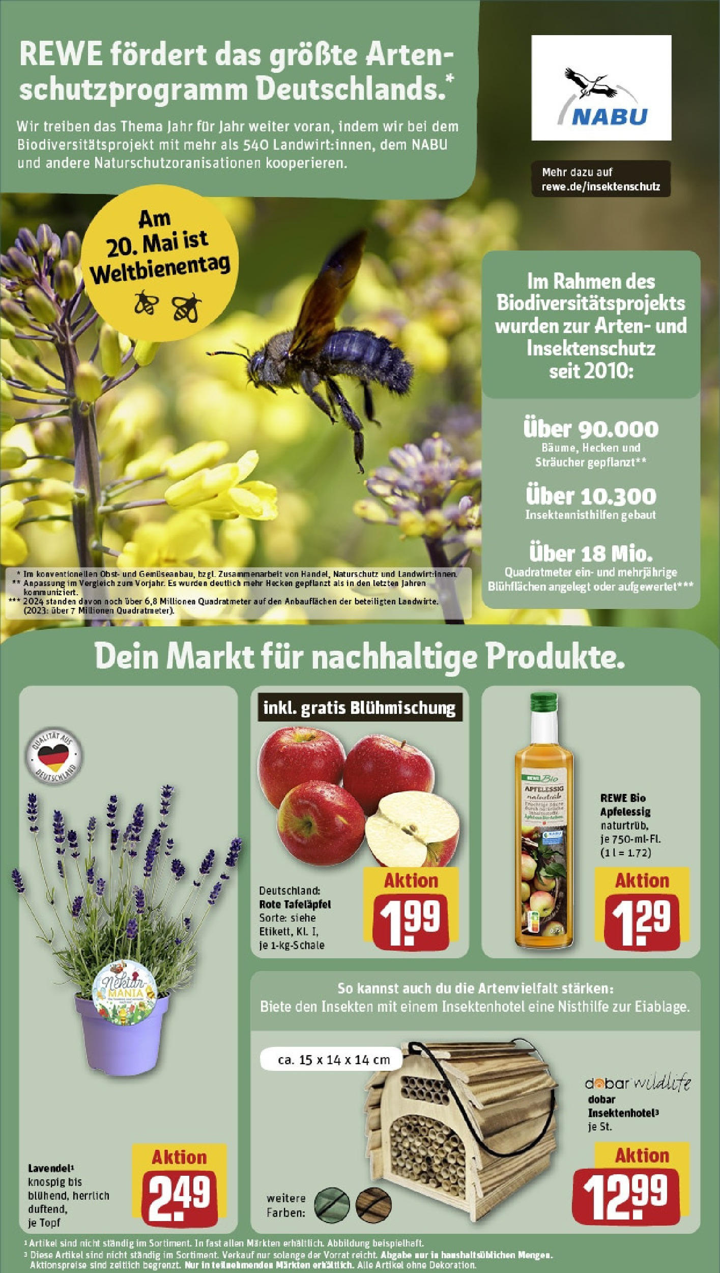 Rewe - Neuss / Innenstadt (ab 12.05.2025) zum Blättern » Angebote | Seite: 21 | Produkte: Apple, Obst, Lavendel Rewe - Neuss / Innenstadt (ab 12.05.2025) zum Blättern » Angebote | Seite: 21 | Produkte: Apple, Obst, Lavendel