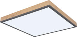 Novel LED-Deckenleuchte LUDWIG