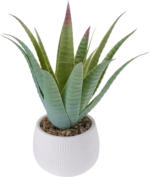 dm-drogerie markt BOLTZE Kunstpflanze Aloe Vera - bis 15.05.2025