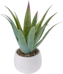 BOLTZE Kunstpflanze Aloe Vera