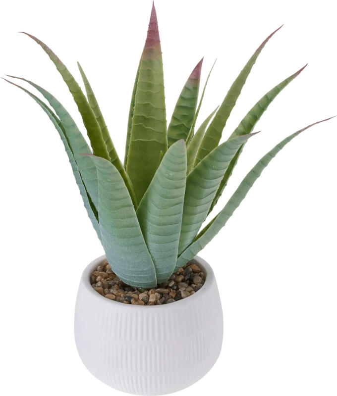 BOLTZE Kunstpflanze Aloe Vera