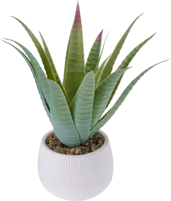 BOLTZE Kunstpflanze Aloe Vera