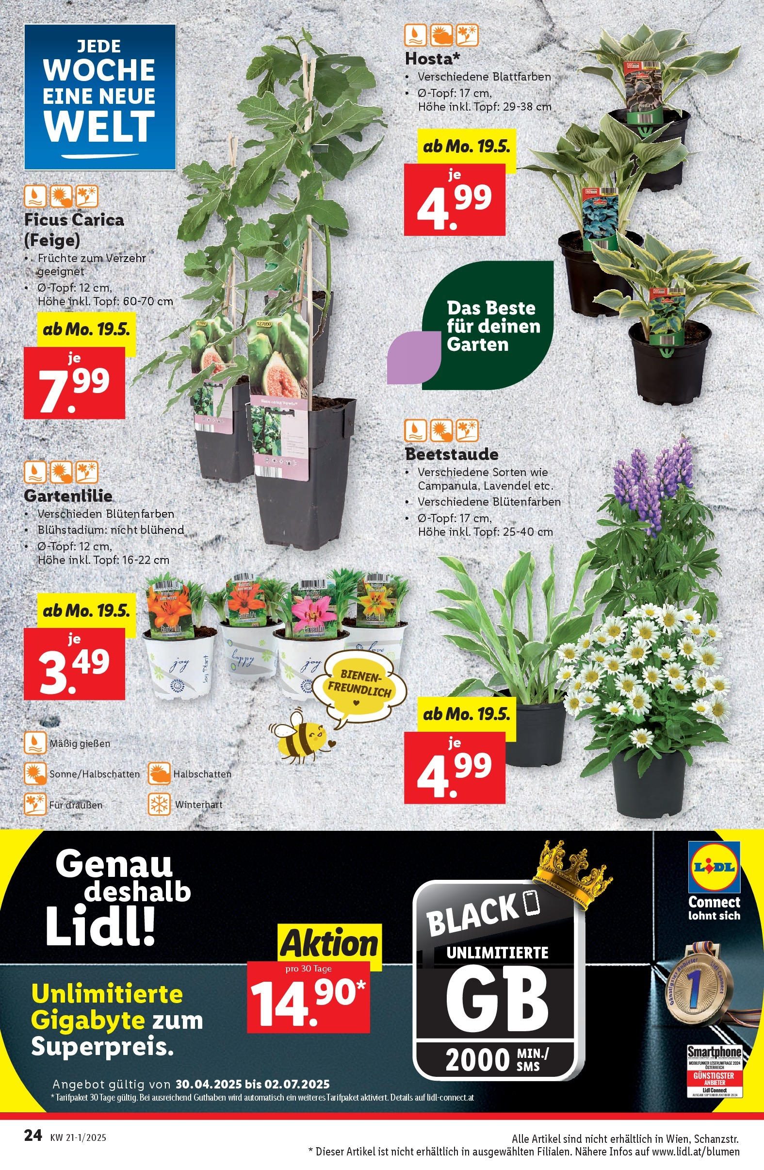 Lidl - Lidl: Flugblatt in deiner Nähe ab 14.05.2025 ✳️ Angebote ab donnerstag | Seite: 26 | Produkte: Smartphone Lidl - Lidl: Flugblatt in deiner Nähe ab 14.05.2025 - Angebote ab donnerstag | Seite: 26 | Produkte: Smartphone