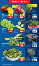 Lidl Lidl: Wochenangebote - ab 12.05.2025