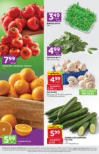 Nasze najlepsze oferty dla Ciebie Stokrotka – do 14.05.2025