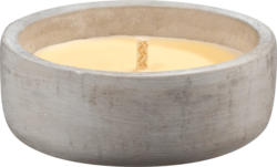 Profissimo Citronella Zementschale