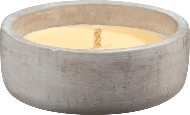 Profissimo Citronella Zementschale