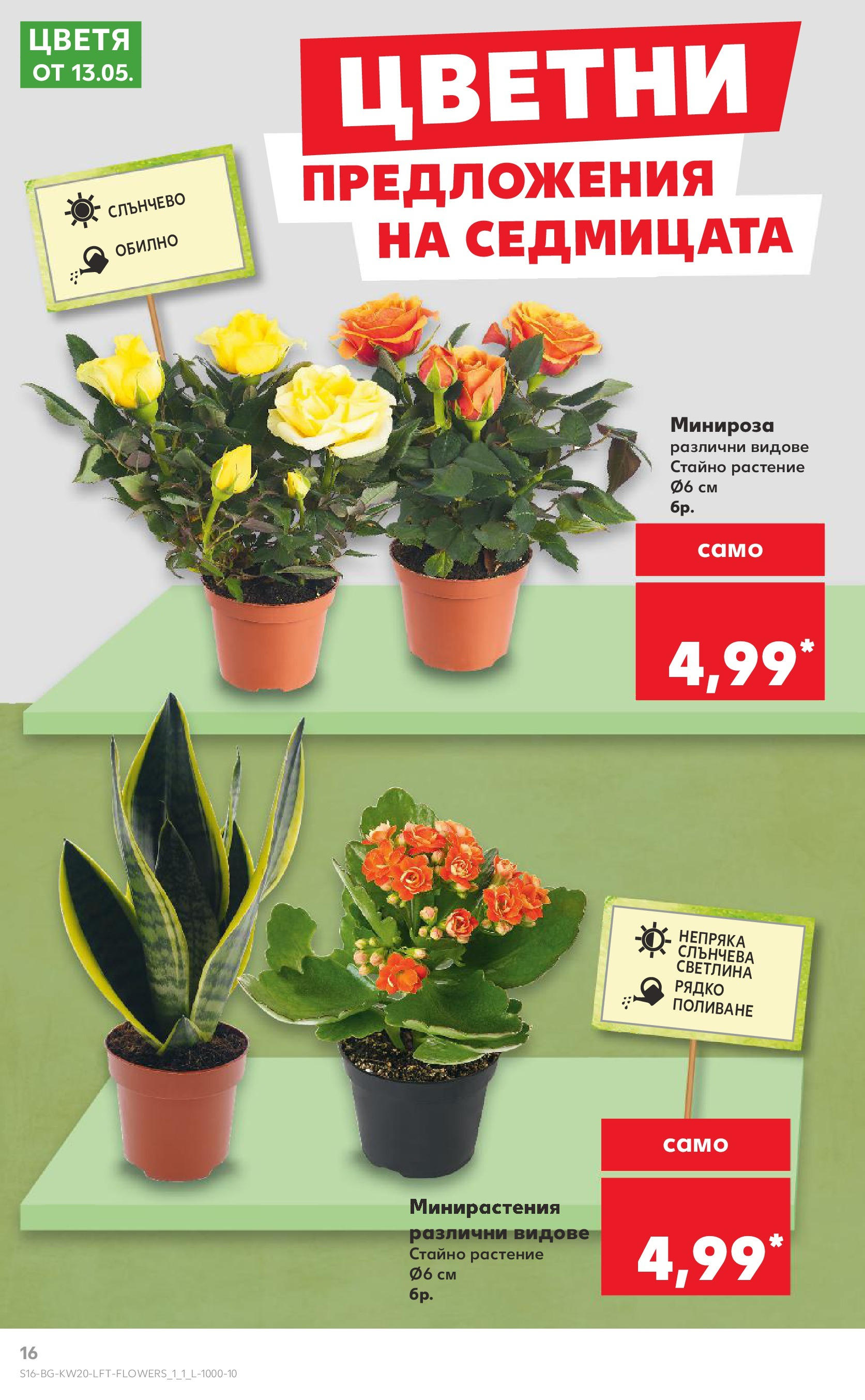Нова Кауфланд брошура от 11.05.2025 - Кауфланд - Седмични оферти от Kaufland с валидност до 18.05.2025 | Страница: 16 Нова Кауфланд брошура от 11.05.2025 - Кауфланд - Седмични оферти от Kaufland с валидност до 18.05.2025 | Страница: 16