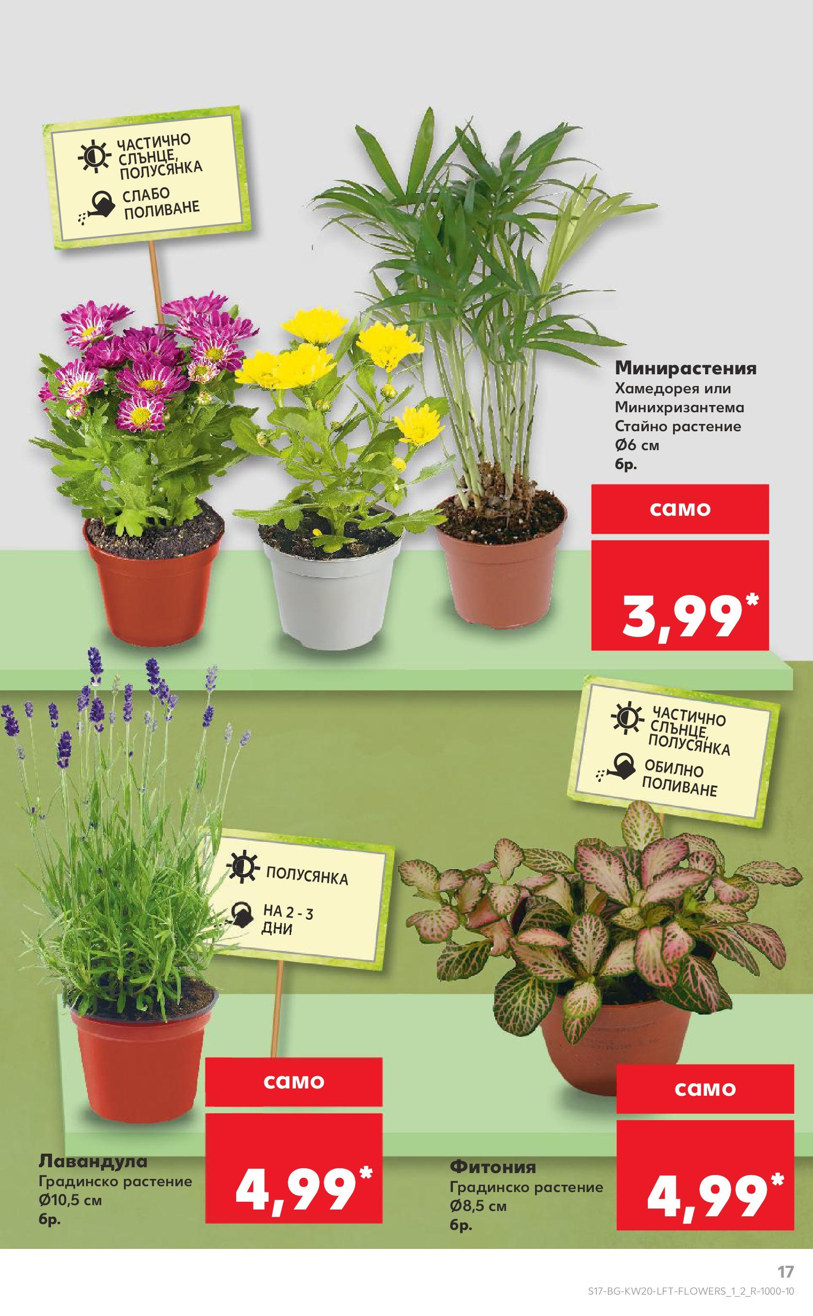 Нова Кауфланд брошура от 11.05.2025 - Кауфланд - Седмични оферти от Kaufland с валидност до 18.05.2025 | Страница: 17 Нова Кауфланд брошура от 11.05.2025 - Кауфланд - Седмични оферти от Kaufland с валидност до 18.05.2025 | Страница: 17
