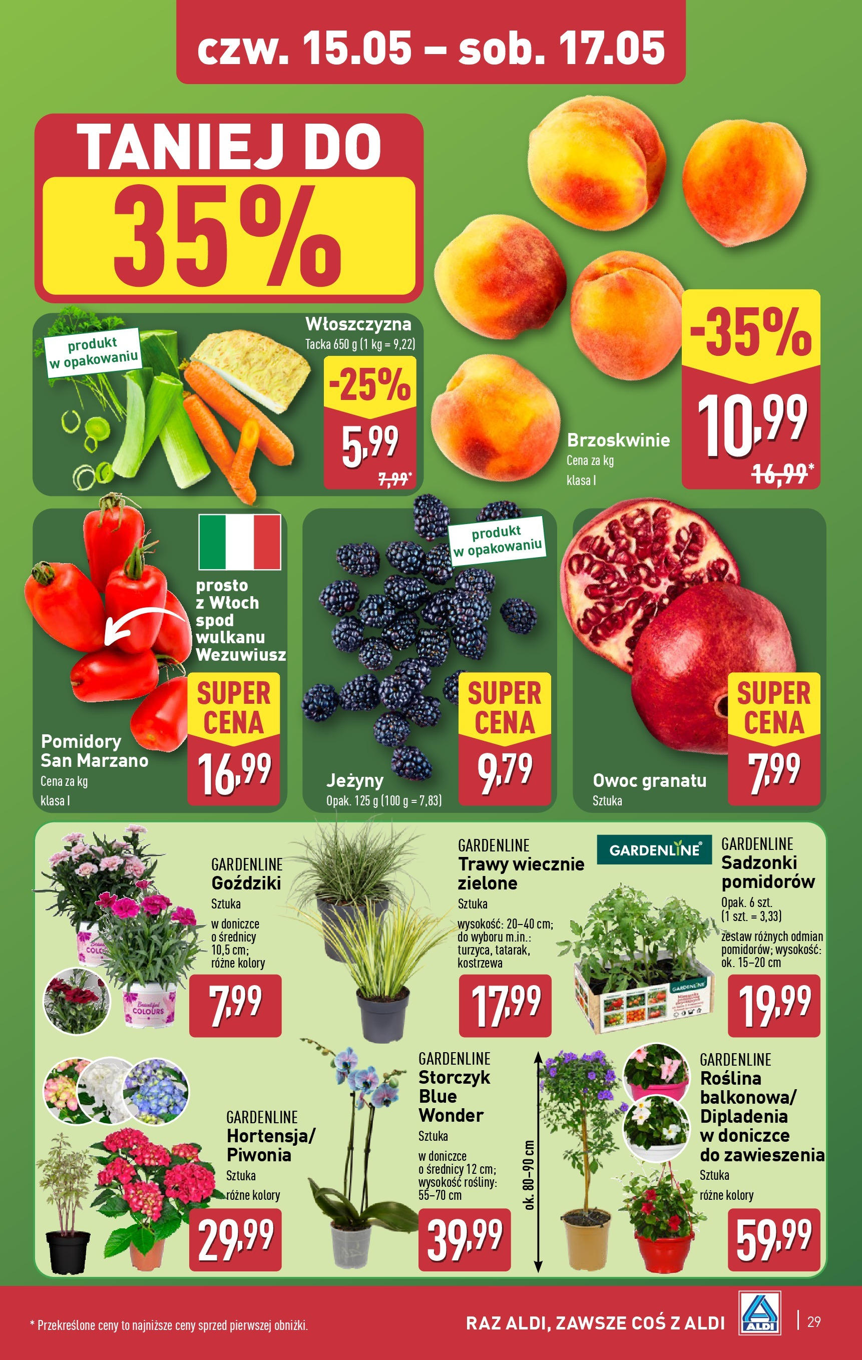 Aldi Gazetka od 12.05.2025 | Nowa PDF gazetka | Strona: 29 | Produkty: Jeżyny, Rosliny, Pomidory, Brzoskwinie Aldi Gazetka od 12.05.2025 - Ulotka PDF, promocje | Strona: 29 | Produkty: Jeżyny, Rosliny, Pomidory, Brzoskwinie