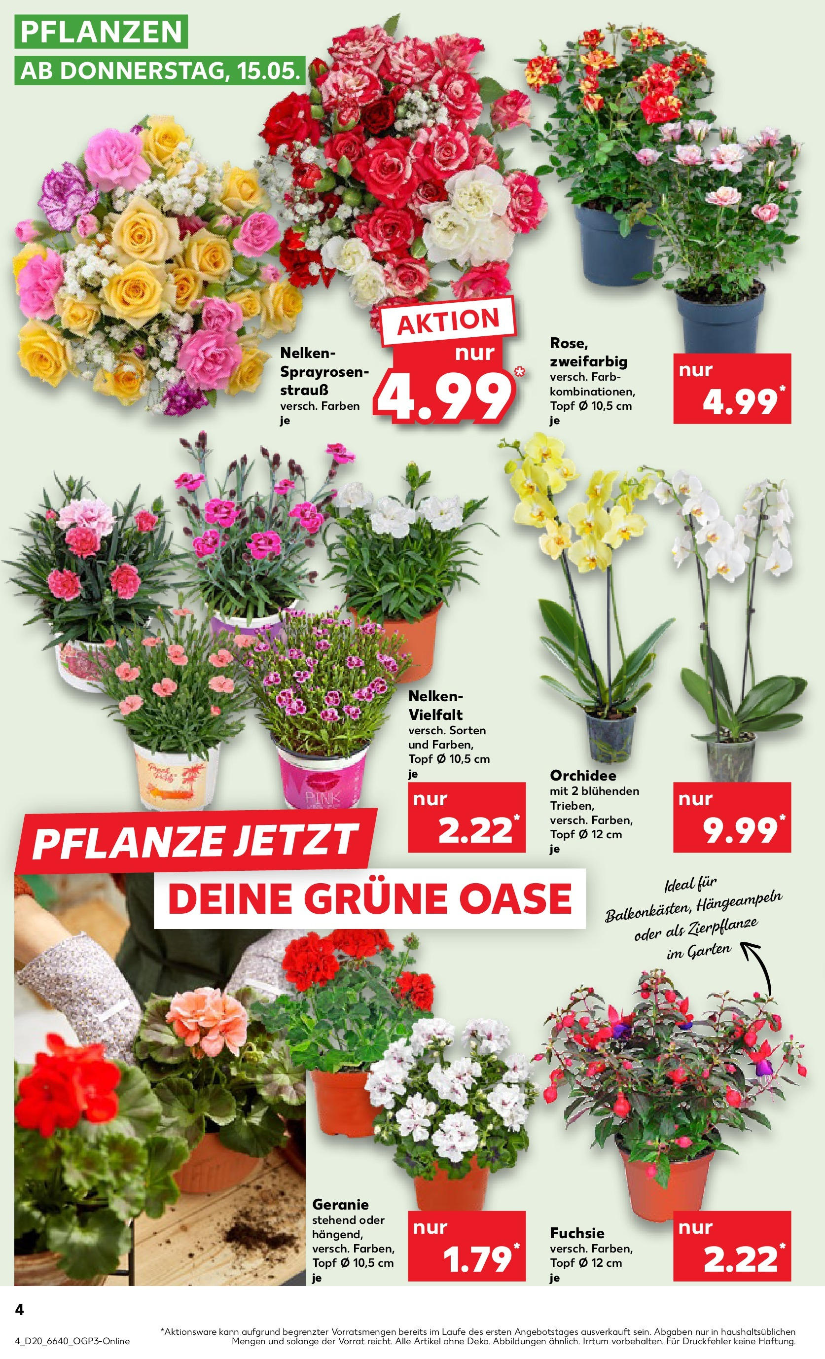 Kaufland - Kaufland: Wochenangebote (ab 14.05.2025) » Angebote Online | Seite: 4 | Produkte: Orchidee Kaufland - Kaufland: Wochenangebote (ab 14.05.2025) » Angebote Online zum Blättern | Seite: 4 | Produkte: Orchidee