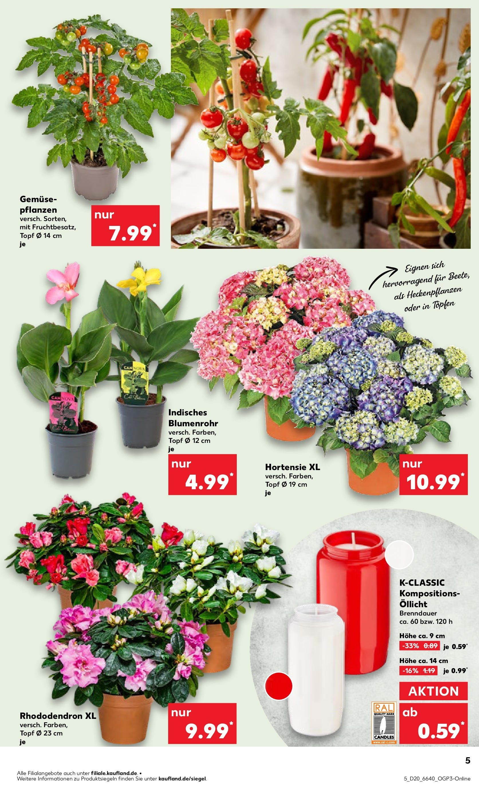Kaufland - Kaufland: Wochenangebote (ab 14.05.2025) » Angebote Online | Seite: 5 | Produkte: Hortensie, Gemüse Kaufland - Kaufland: Wochenangebote (ab 14.05.2025) » Angebote Online zum Blättern | Seite: 5 | Produkte: Hortensie, Gemüse