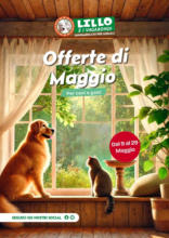 Offerte di maggio