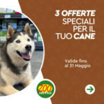 Zoo Service 3 offerte speciali per il tuo cane - al 31.05.2025