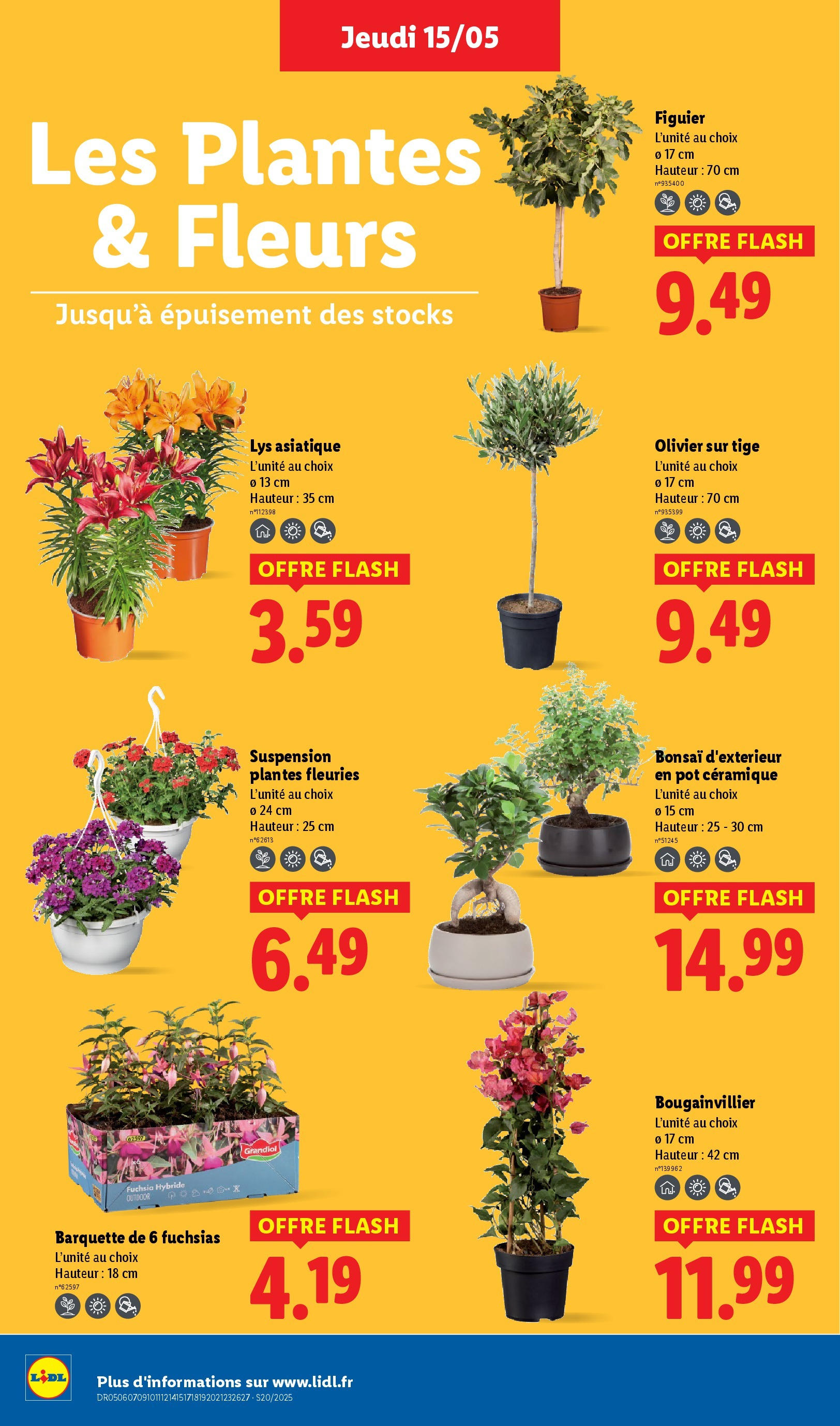 Catalogue LIDL du 14/05/2025 | Promo prospectus en ligne | Page: 28 | Produits: Bonsai, Plantes, Olivier, Bougainvillier Catalogue LIDL du 14/05/2025 | Promo prospectus en ligne | Page: 28 | Produits: Bonsai, Plantes, Olivier, Bougainvillier