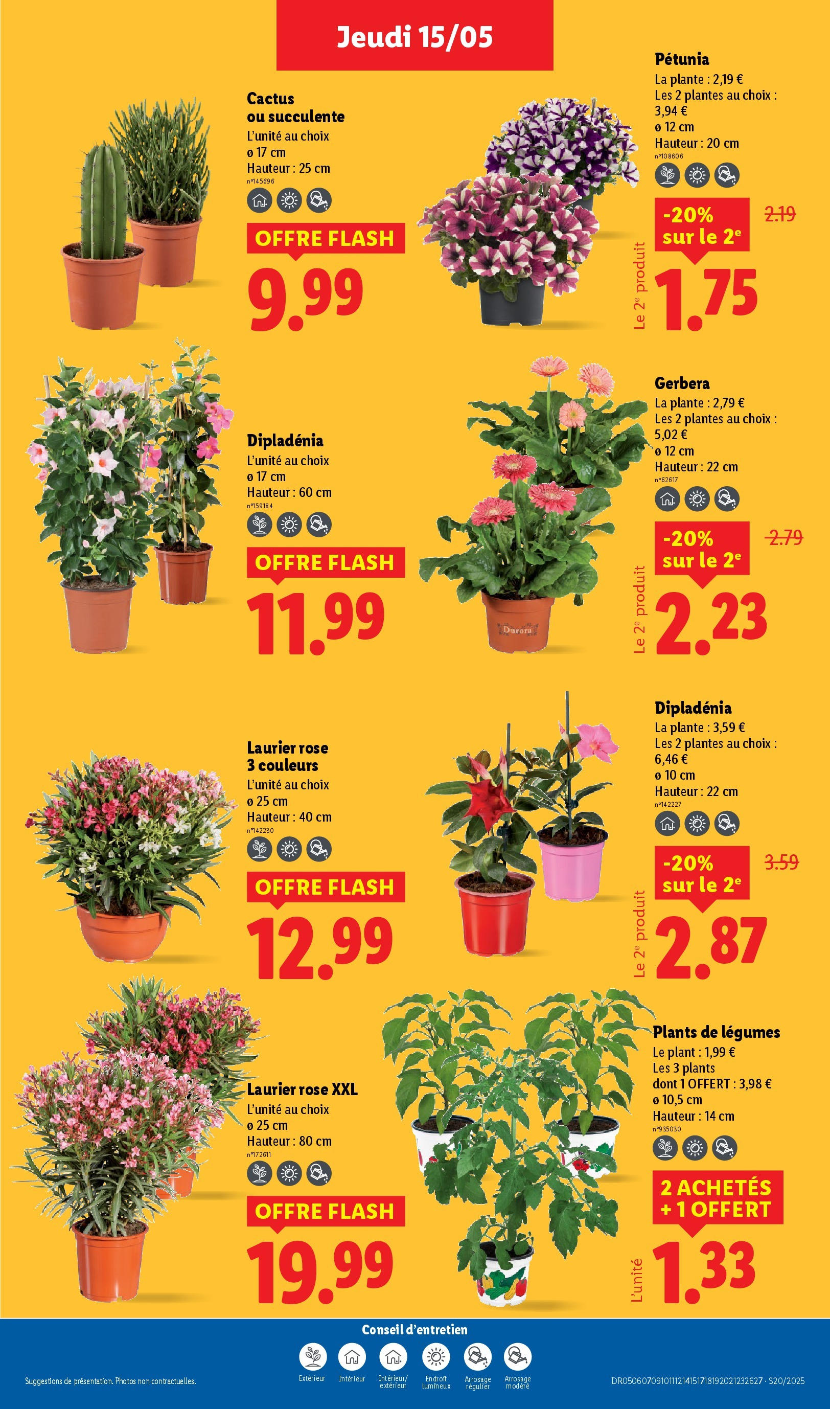 Catalogue LIDL du 14/05/2025 | Promo prospectus en ligne | Page: 29 | Produits: Laurier Rose, Plantes, Dipladénia Catalogue LIDL du 14/05/2025 | Promo prospectus en ligne | Page: 29 | Produits: Laurier Rose, Plantes, Dipladénia