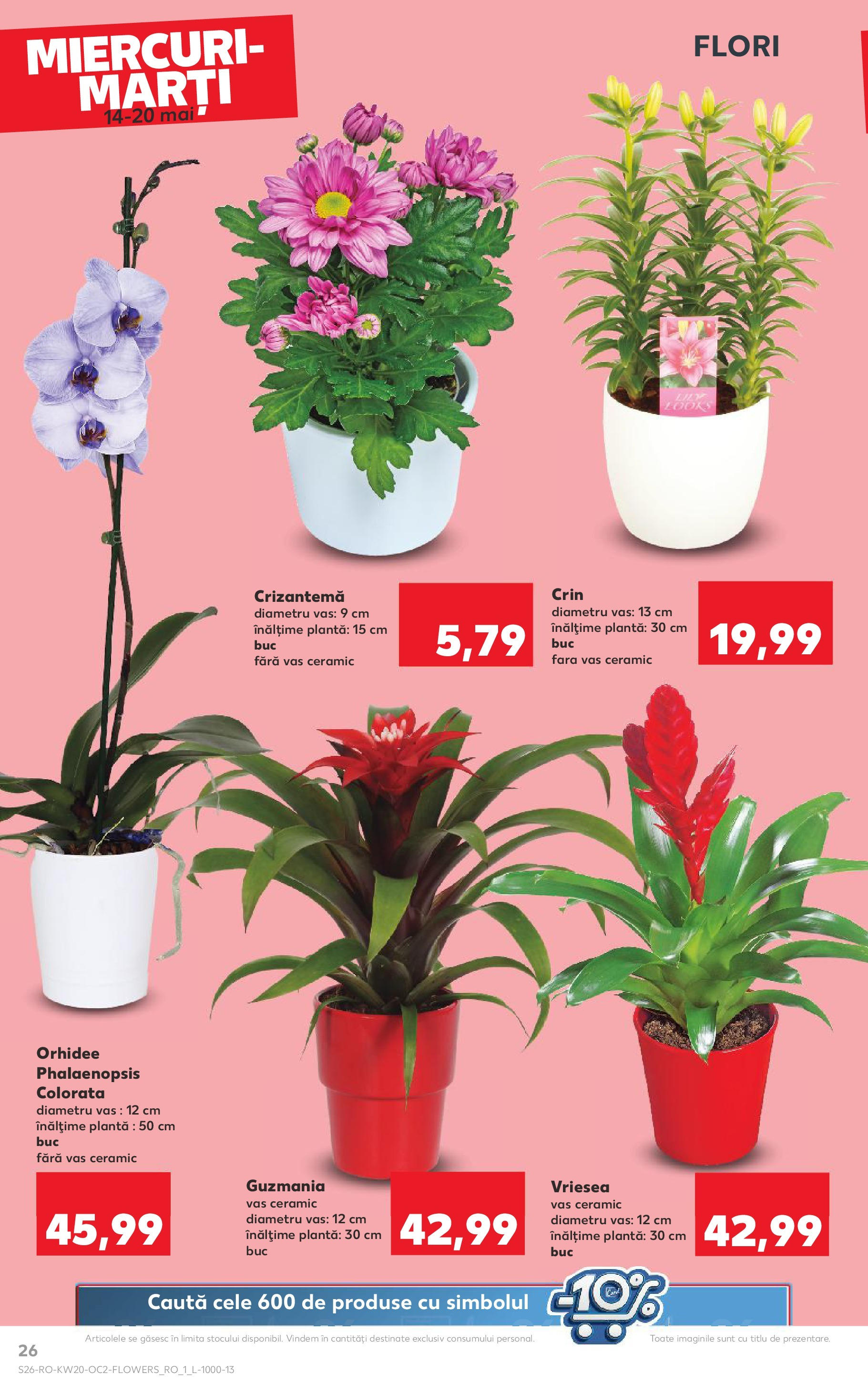 Kaufland - Catalog Kaufland până în data de 18.05.2025 13.05.2025 || Revista si Oferte | Pagină: 26 | Produse: Orhidee Kaufland - Catalog Kaufland până în data de 18.05.2025 13.05.2025 - Revista si Oferta | Pagină: 26 | Produse: Orhidee