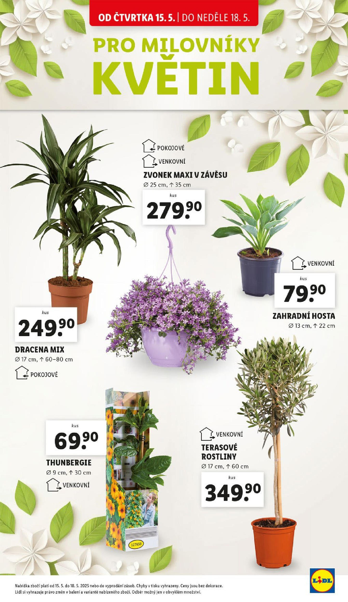 LIDL leták | 13.05.2025 | Akční leták příští týden | Strana: 25 | Produkty: Rostliny, Zvonek Lidl leták od 13.05.2025 - Nový akční leták | Strana: 25 | Produkty: Rostliny, Zvonek