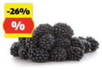 HOFER HOFER MARKTPLATZ Brombeeren, 125 g