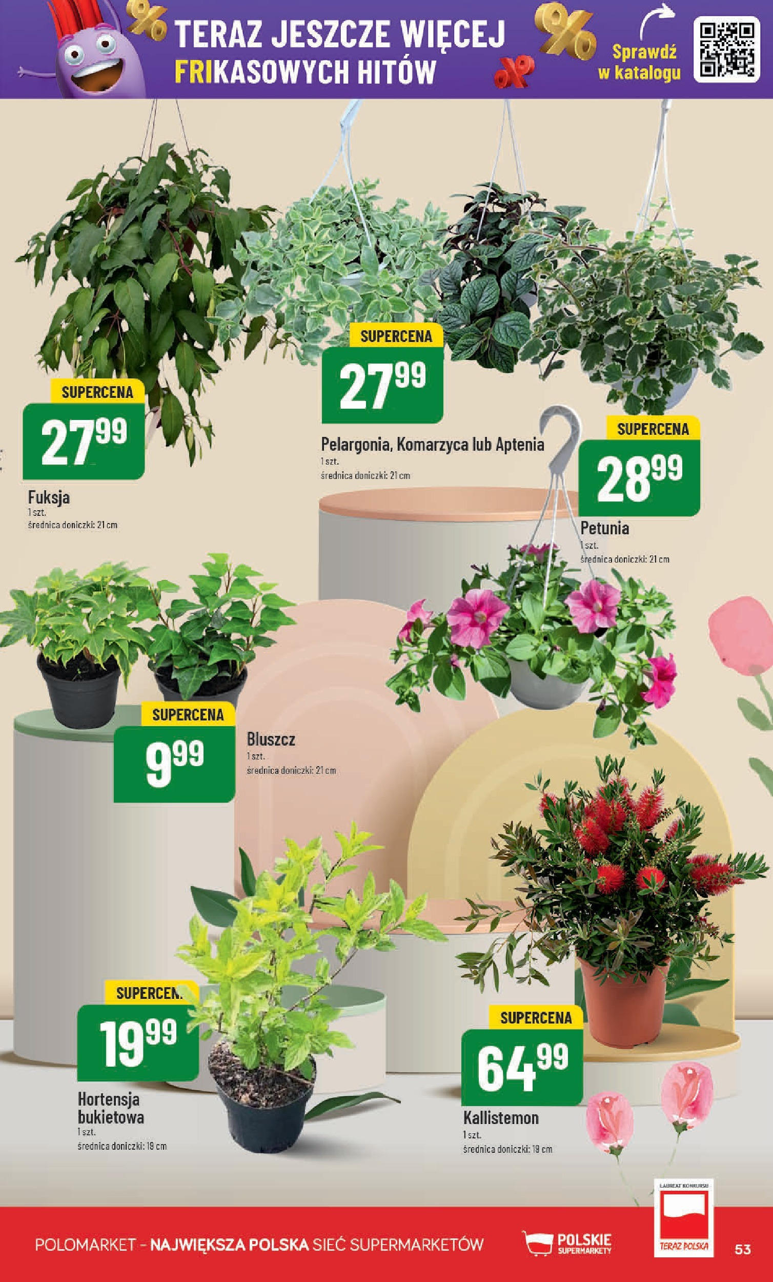 POLOmarket gazetka od jutra (14.05.2025) | Nowa PDF | Strona: 53 | Produkty: Doniczki POLOmarket gazetka od jutra (14.05.2025) - Nowa PDF | Strona: 53 | Produkty: Doniczki