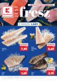 Nasze najlepsze oferty dla Ciebie