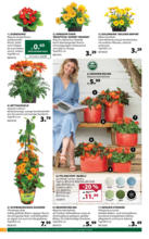 Dehner Hohenems Dehner: Garten & Zoo - bis 19.05.2025