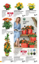 Dehner: Garten & Zoo