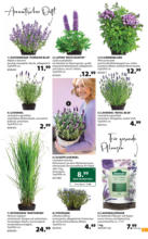 Dehner Hohenems Dehner: Garten & Zoo - bis 19.05.2025