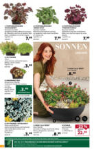 Dehner Hohenems Dehner: Garten & Zoo - bis 19.05.2025