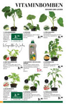 Dehner Hohenems Dehner: Garten & Zoo - bis 19.05.2025