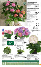 Dehner Hohenems Dehner: Garten & Zoo - bis 19.05.2025