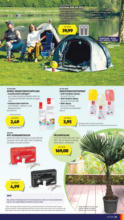 HOFER HOFER: Flugblatt - ab 16.05.2025