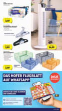 HOFER HOFER: Flugblatt - ab 16.05.2025