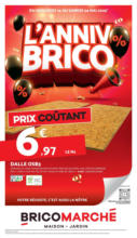 L’anniv Brico