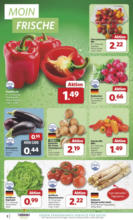 Combi - Angebote 19.05.-24.05.2025
