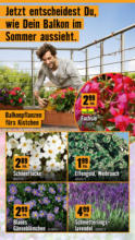 Hornbach Hornbach: Alles neu macht der Mai. Und Du! - bis 04.06.2025